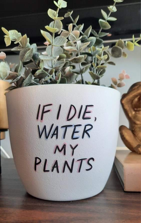 🌱💦Cache-pot "Water My Plants"💦🌱