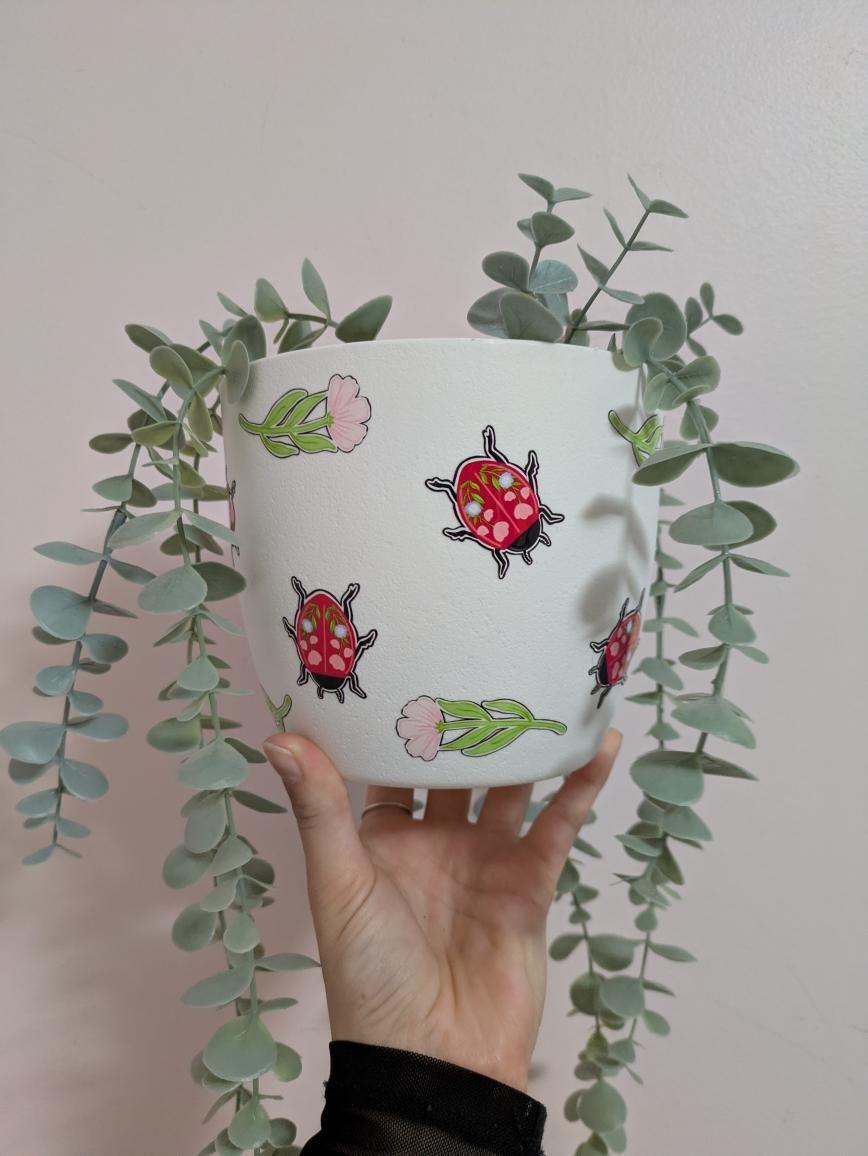 🌿🐞Cache-pot "Petite coccinelle"🐞🌿